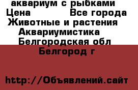 аквариум с рыбками › Цена ­ 1 000 - Все города Животные и растения » Аквариумистика   . Белгородская обл.,Белгород г.